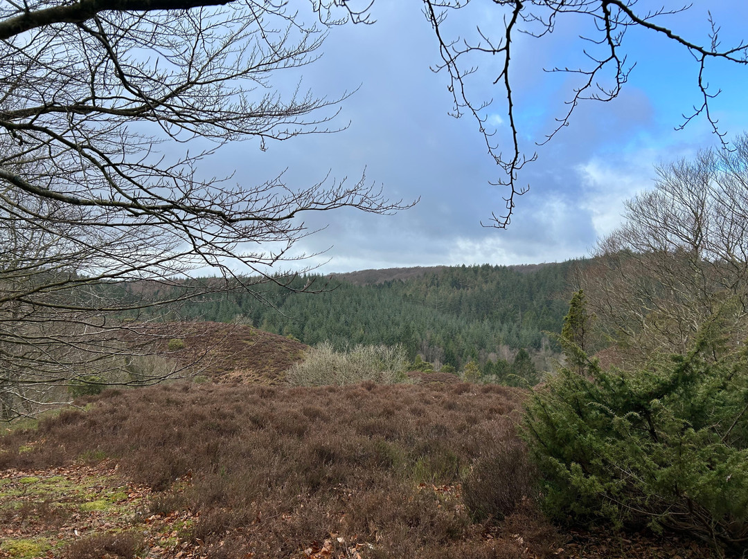 Rebild National Park-Skoerping必去景点