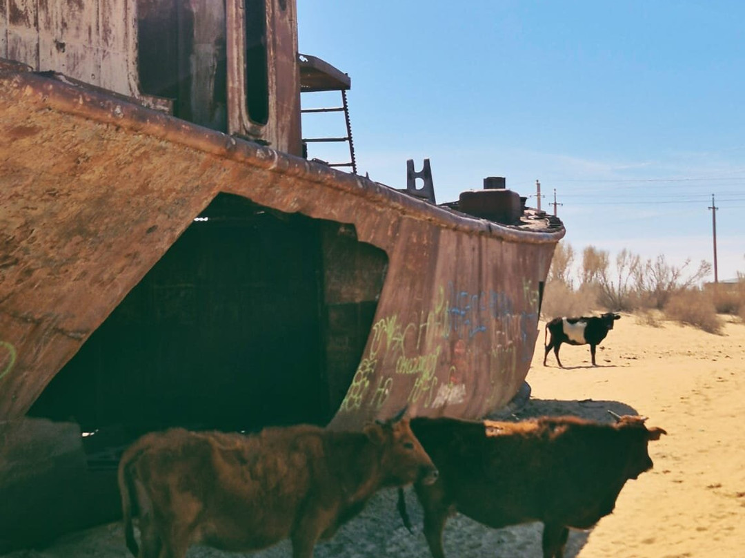 Aral Sea Discovery-Nukus必去景点