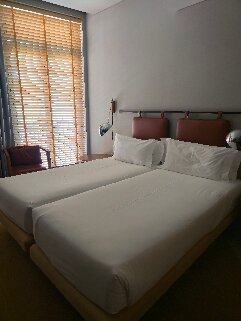 图标双重里贝拉-官方