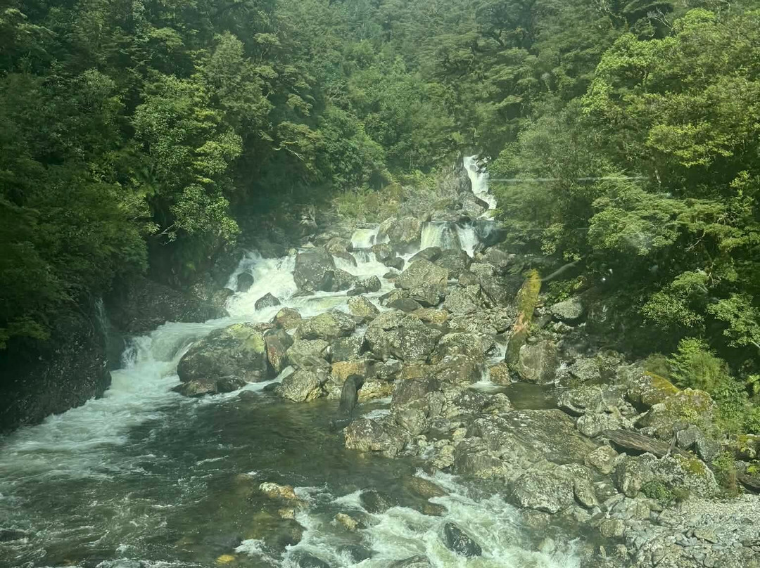 Fiordland Expeditions - Doubtful Sound Overnight Cruises & Multi Day Charters-马纳普里必去景点