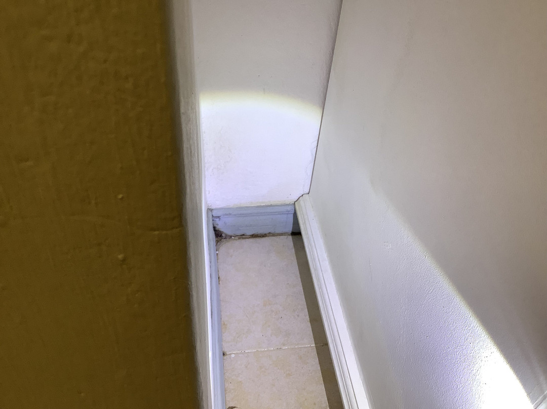 罗德里格斯可可提尔酒店主图