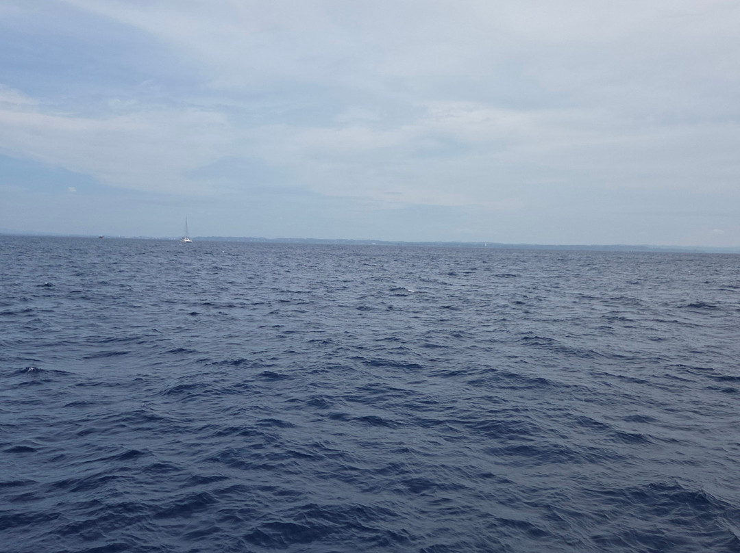 Nathalia Cruise-美蕊沙必去景点