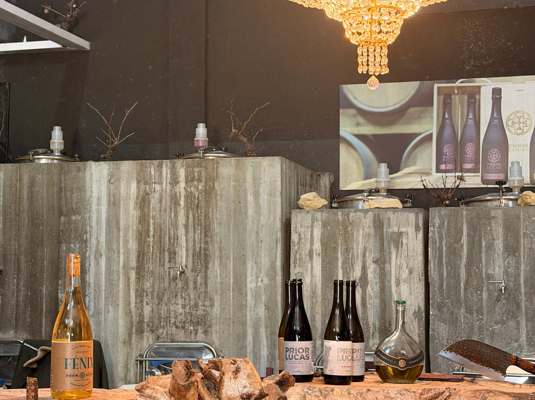 Prior Lucas Vinhos-科英布拉区必去景点