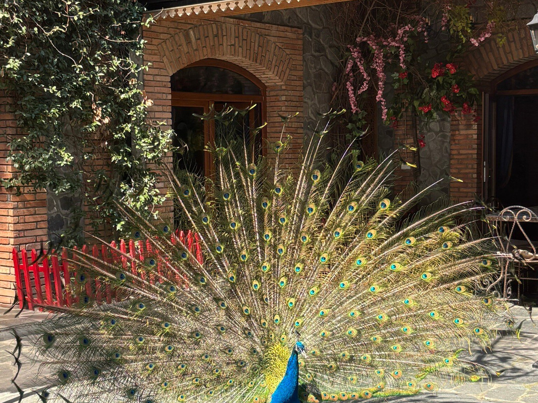 Old Town Sheki主图