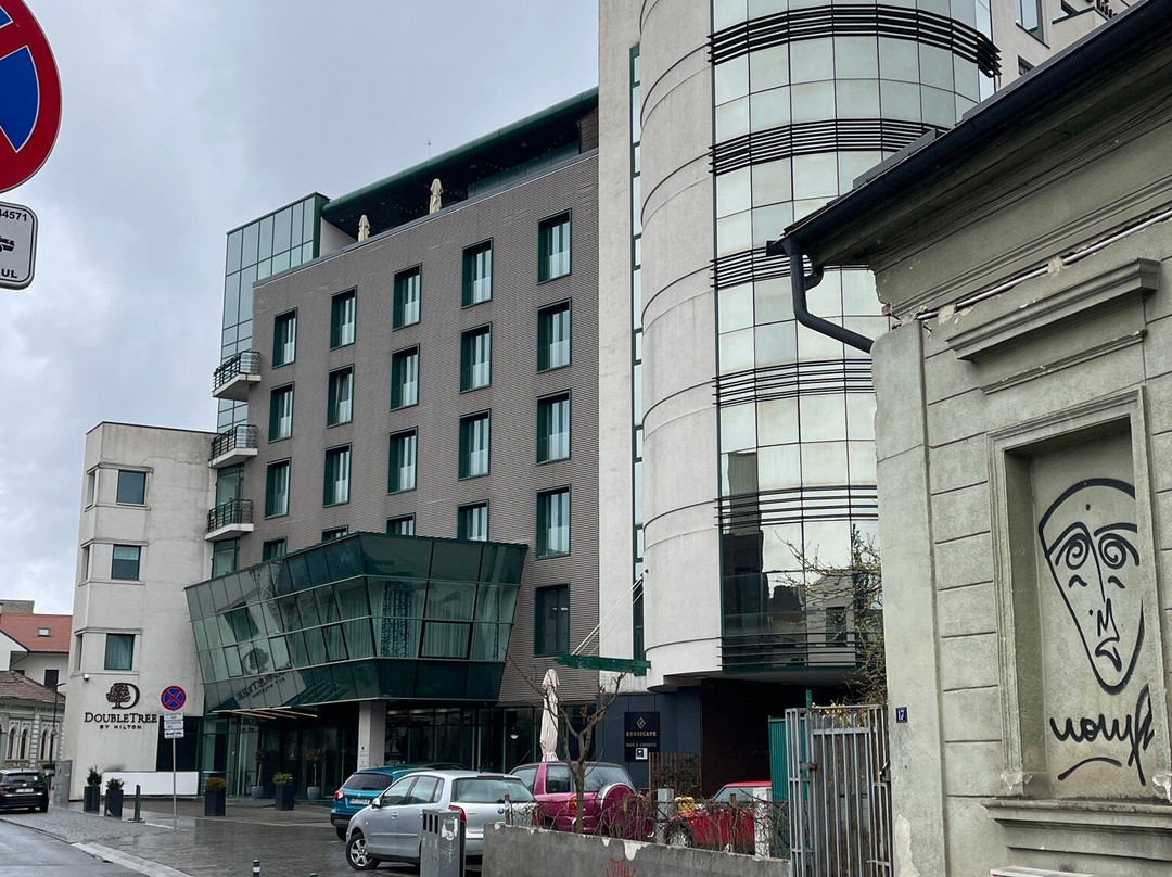 克卢日城市广场希尔顿逸林酒店主图