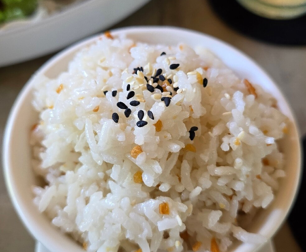 Omus Vegan @ Dive Camp