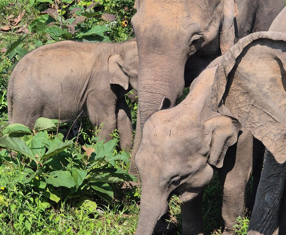 Dilro Travels & Tours-西部省必去景点