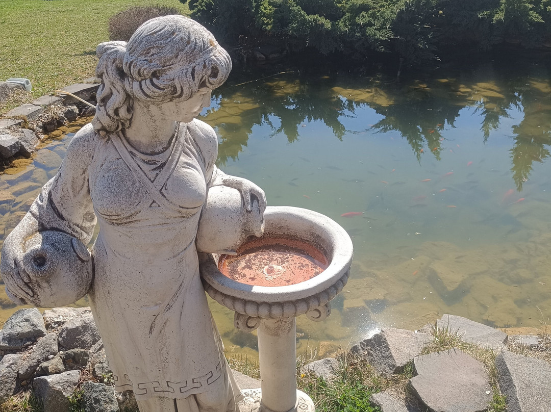 Pension Armonia主图