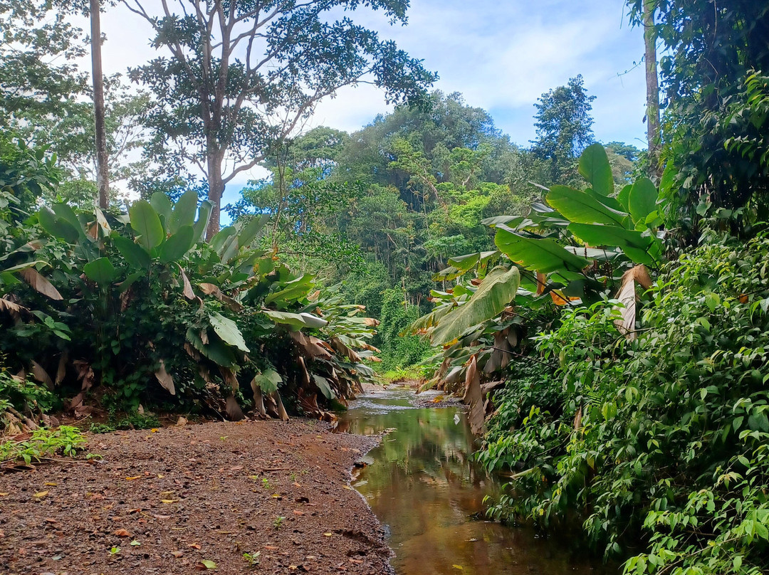 Corcovado Hiking Tours-希门尼斯港必去景点