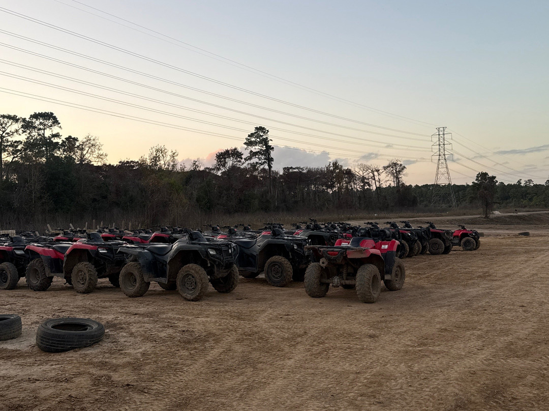 Dirty Monkeys Rentals