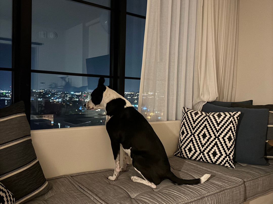 弗吉尼亚酒店纳什维尔主图