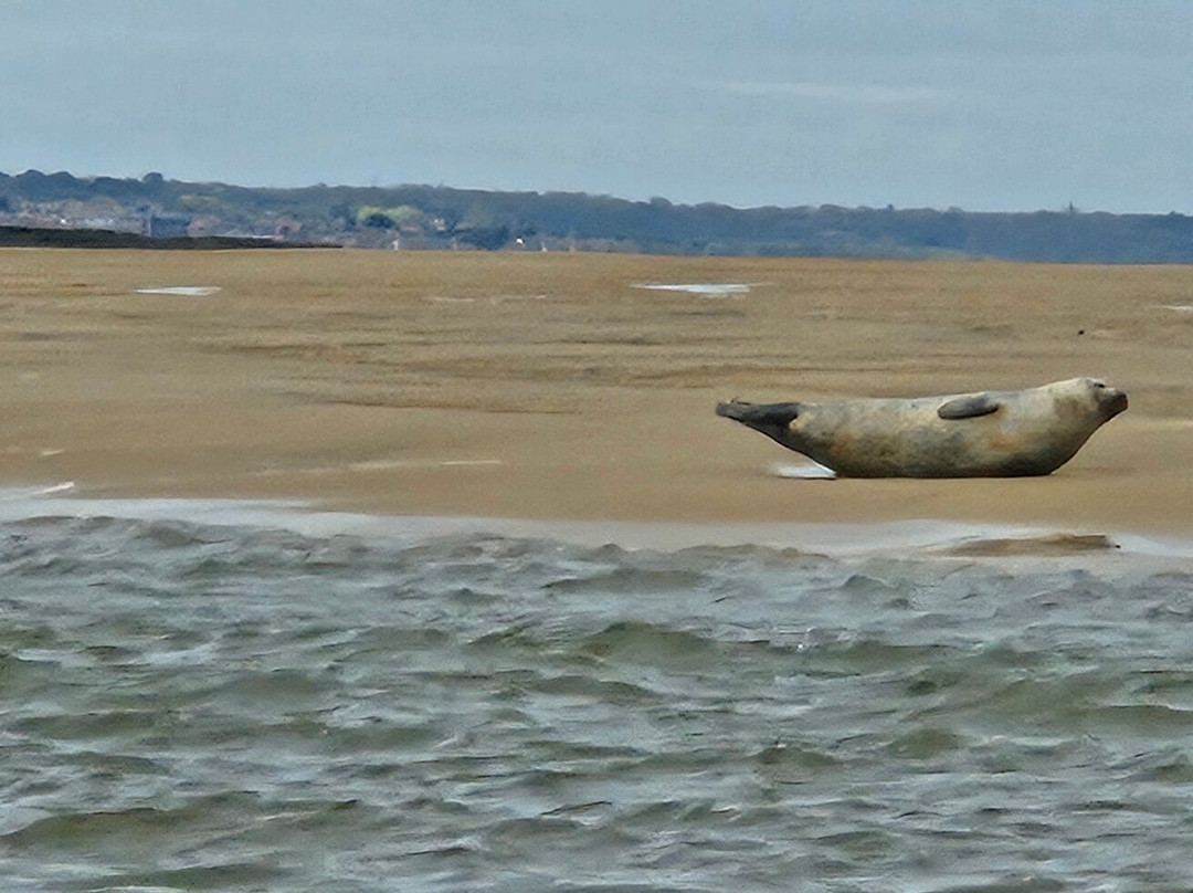 Bishops Boats Seal Trips-布莱克尼必去景点