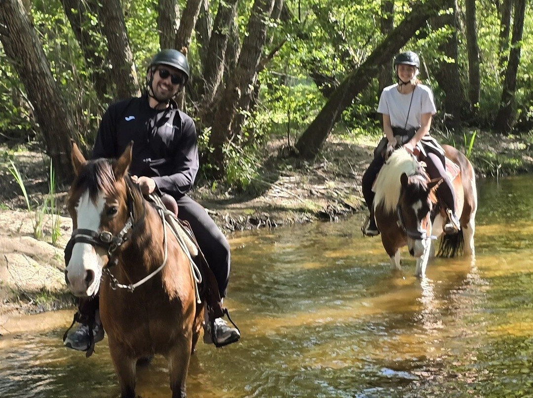 Centro Equestre La Prugnola-Arzachena必去景点