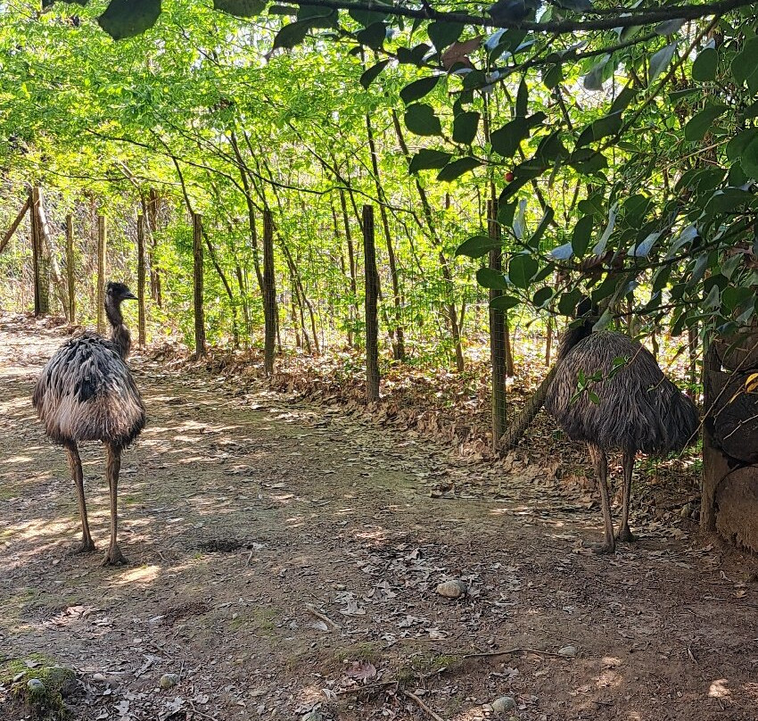 Parco Faunistico La Torbiera-Agrate Conturbia必去景点