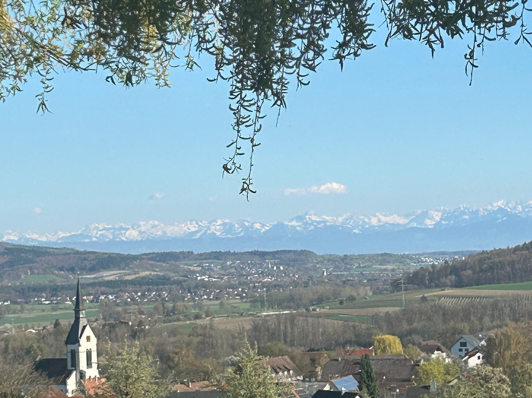 谢伦伯格兰德酒店主图