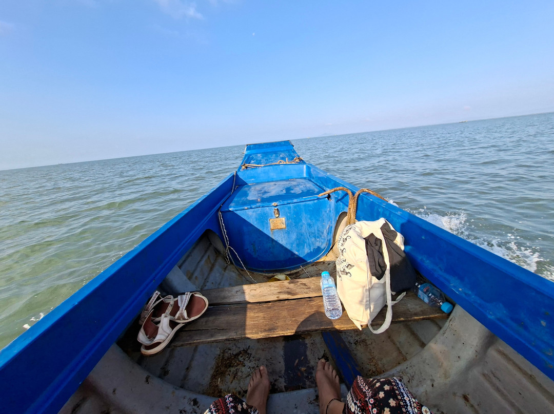 Irrawaddy Dolphins & Coastal Wonders Tour-贡布必去景点