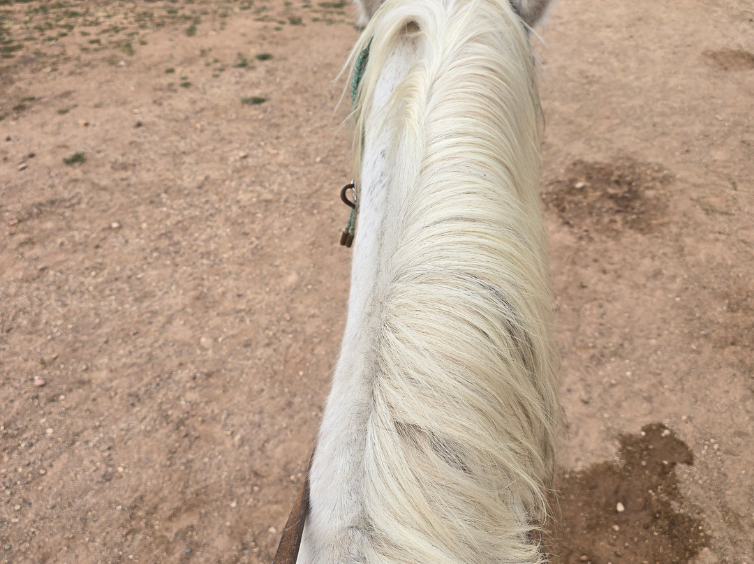 Grand Canyon Trail Rides-图萨扬必去景点