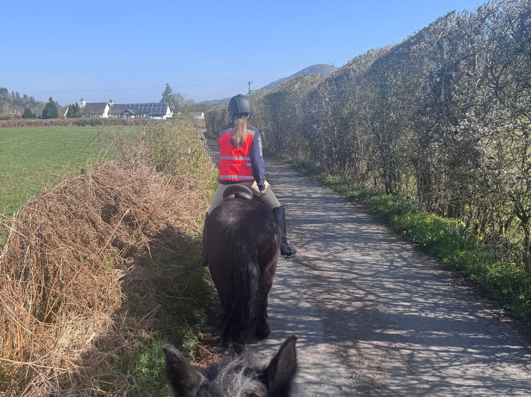 Fell Pony Adventures-温德米尔必去景点