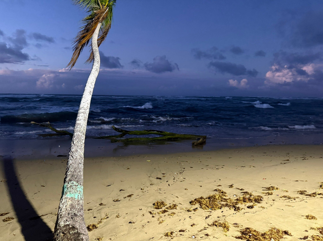 棕榈湾俱乐部旅馆