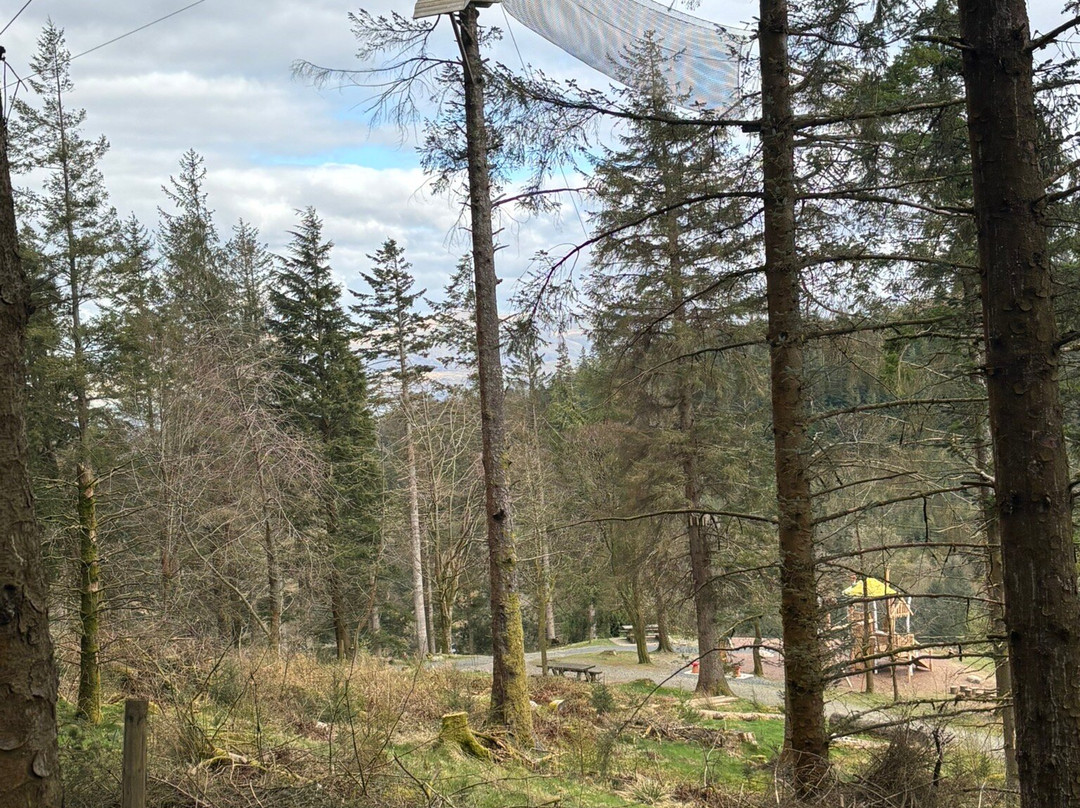 Go Ape Whinlatter-Braithwaite必去景点