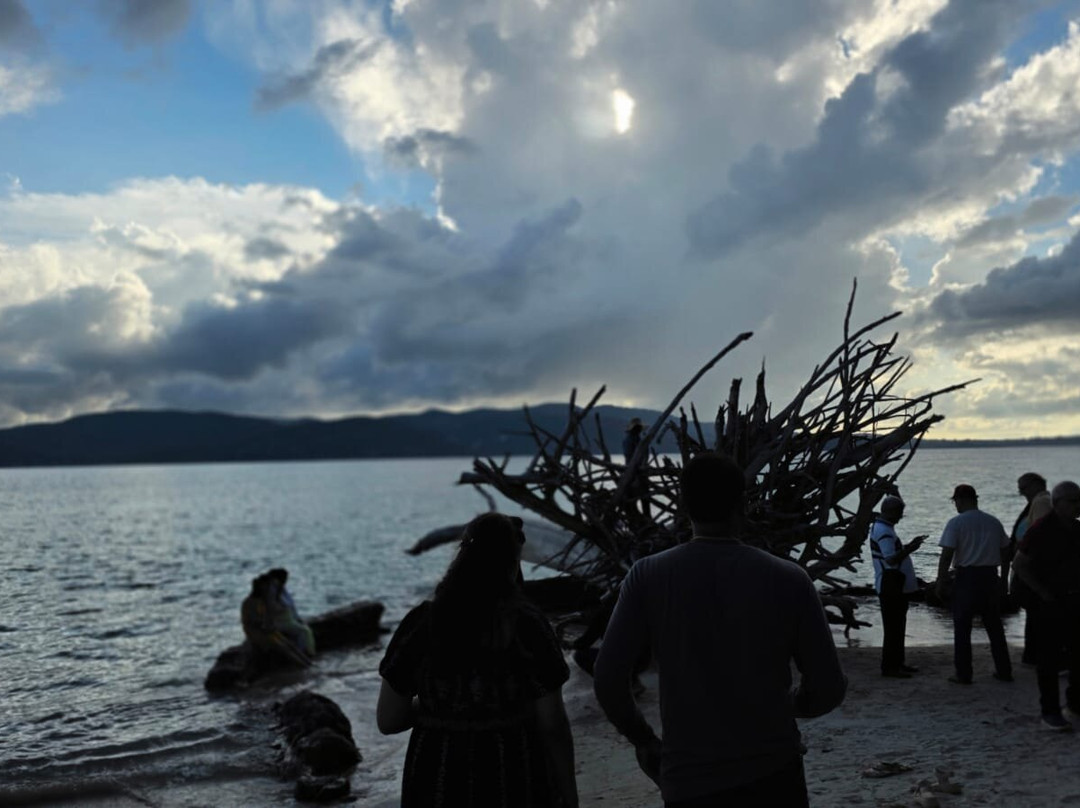 Chidiya Tapu-布莱尔港必去景点
