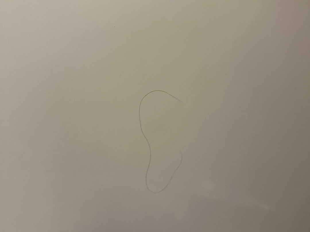 皮卡尤恩温德姆戴斯酒店主图