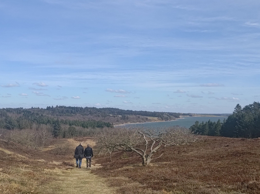 Ydby Hede-Ydby必去景点