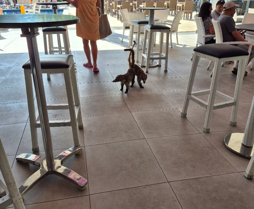 卢皮塔悦宜湾酒店主图