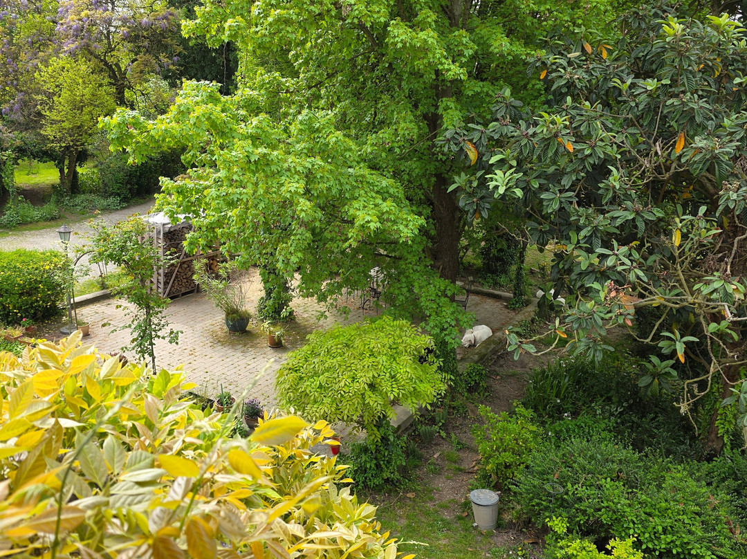 Il Rustico Bed & Breakfast主图