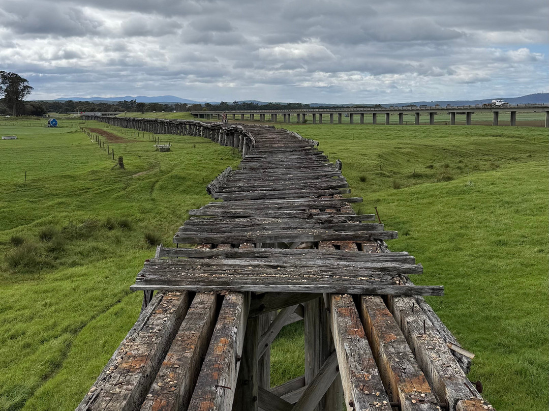 Snowy River Cycling Rail Trail Tours-Orbost必去景点
