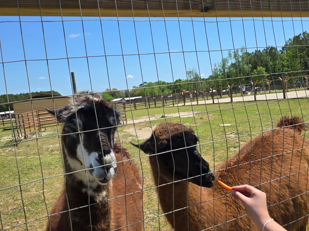 Wild Woods Farm
