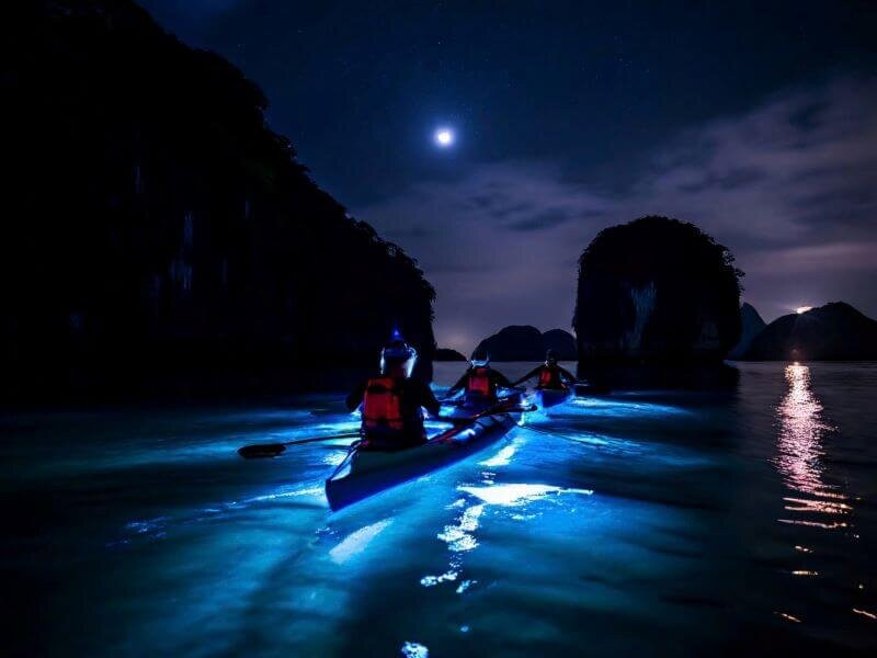 Blue Swimmer Adventures-卡巴必去景点