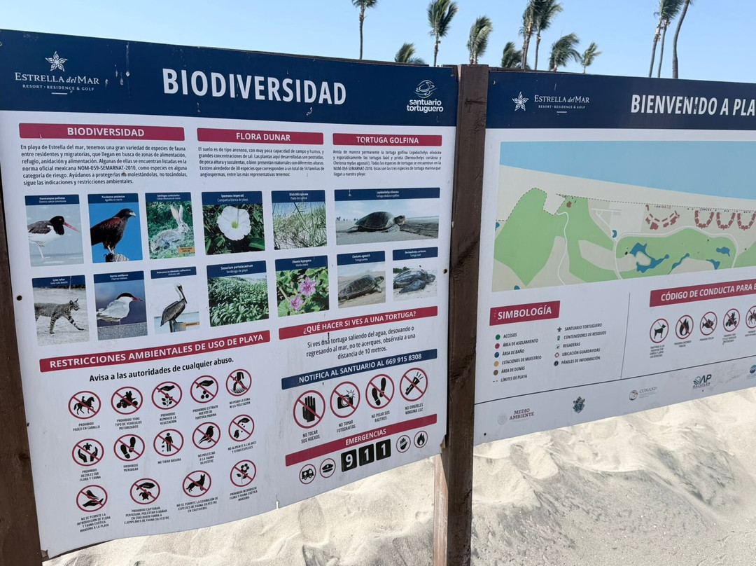 马萨特兰梦想艾丝黛拉德尔玛高尔夫 SPA 度假村主图