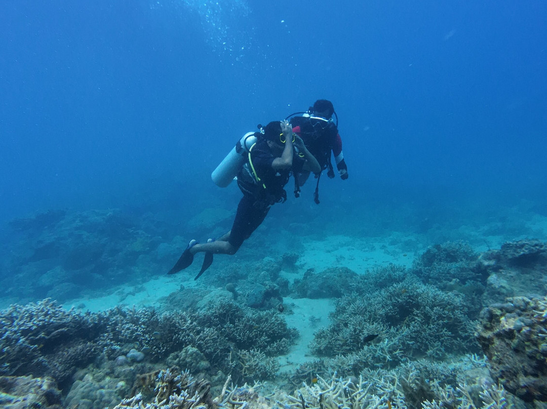Turquoise Dream-Neil Island必去景点