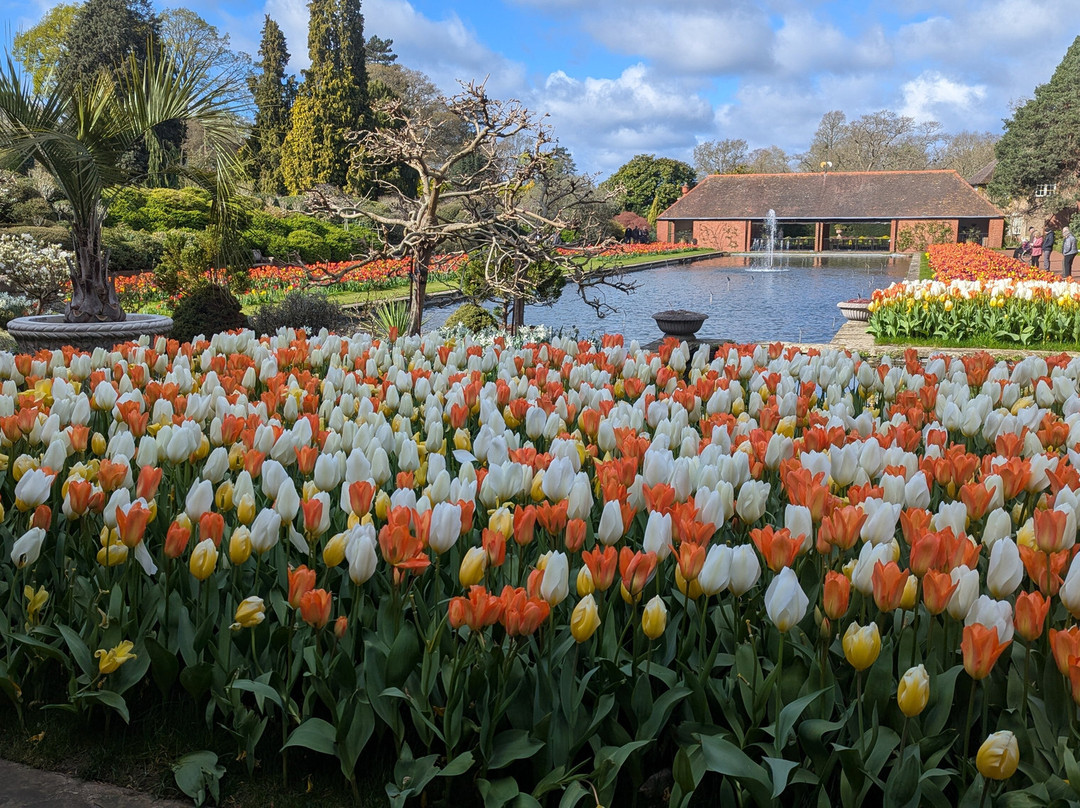 RHS Garden Wisley-Wisley必去景点
