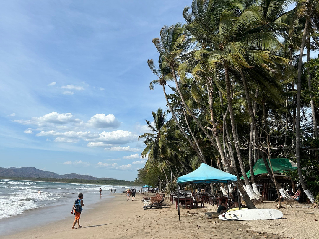 Costa Rica Unique Transfers and Tours-利比里亚必去景点