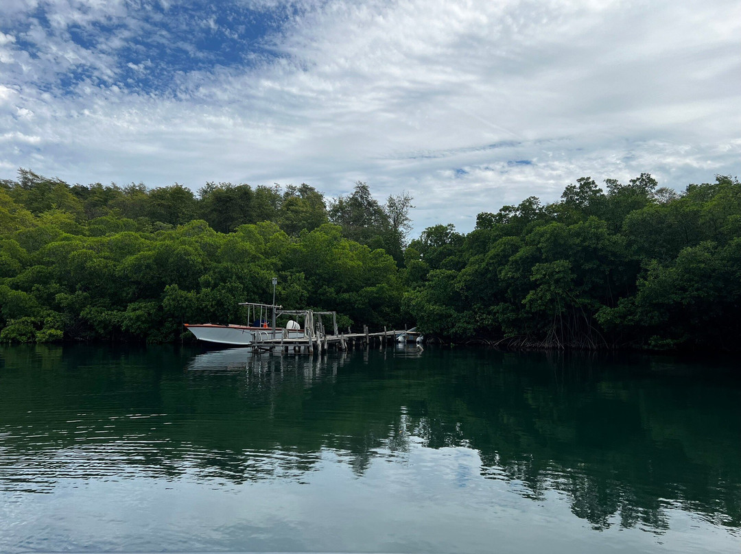 Capitaine Titi Balades en Mer-La Trinite必去景点