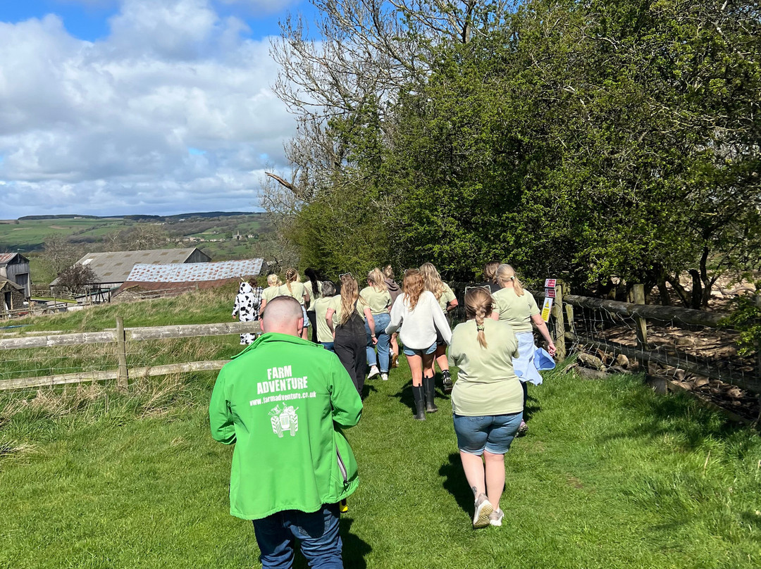 Farm Adventure Yorkshire-马沙姆必去景点