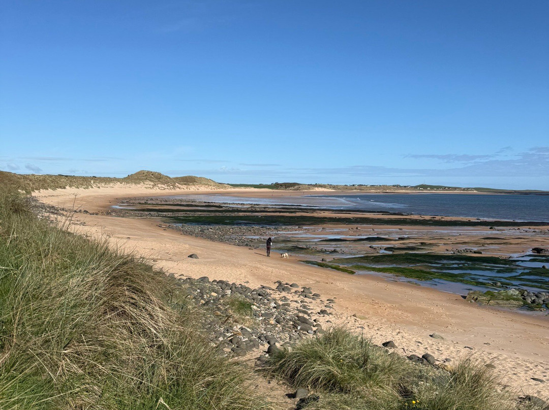 Dunstanburgh Castle-Craster必去景点