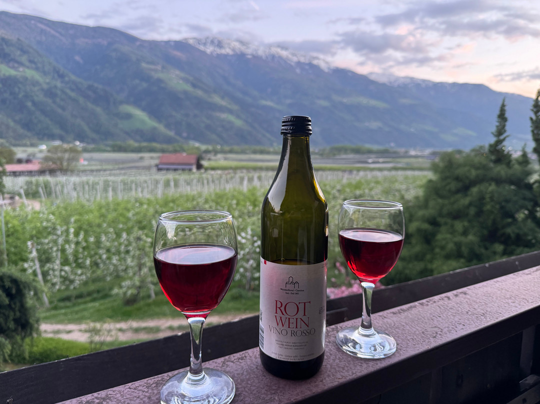 加尼维格赫布住宿加早餐旅馆主图