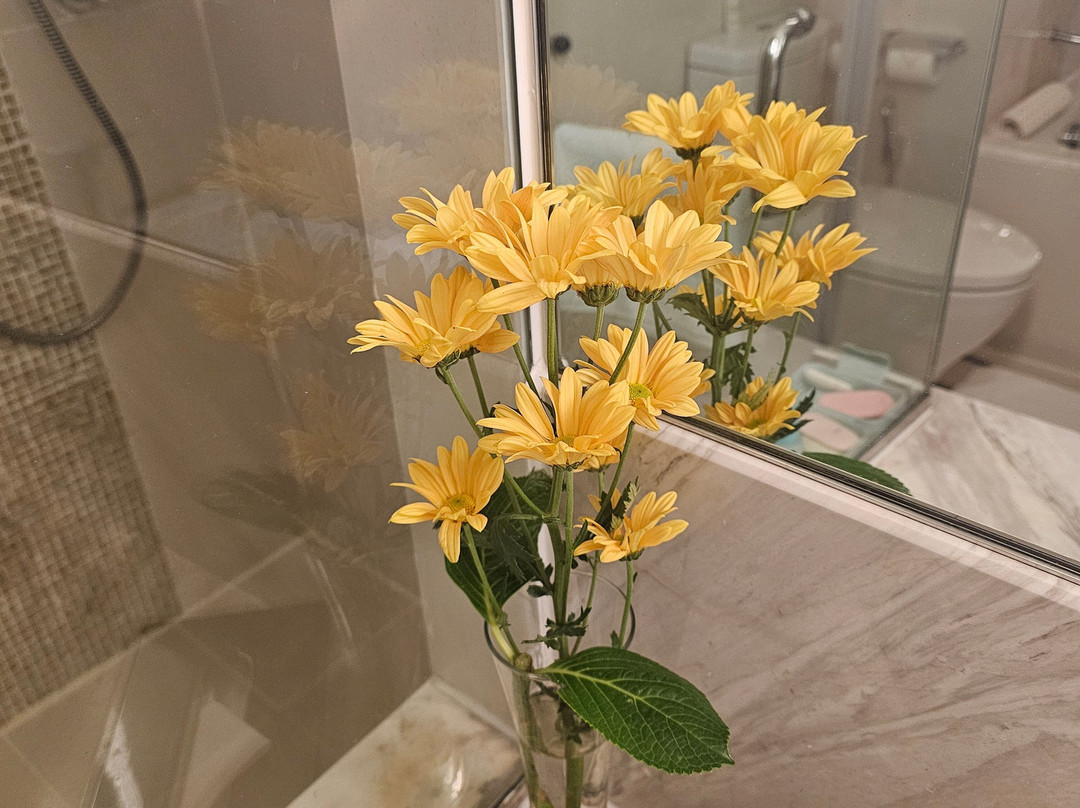 辛纳蒙科伦坡大酒店主图