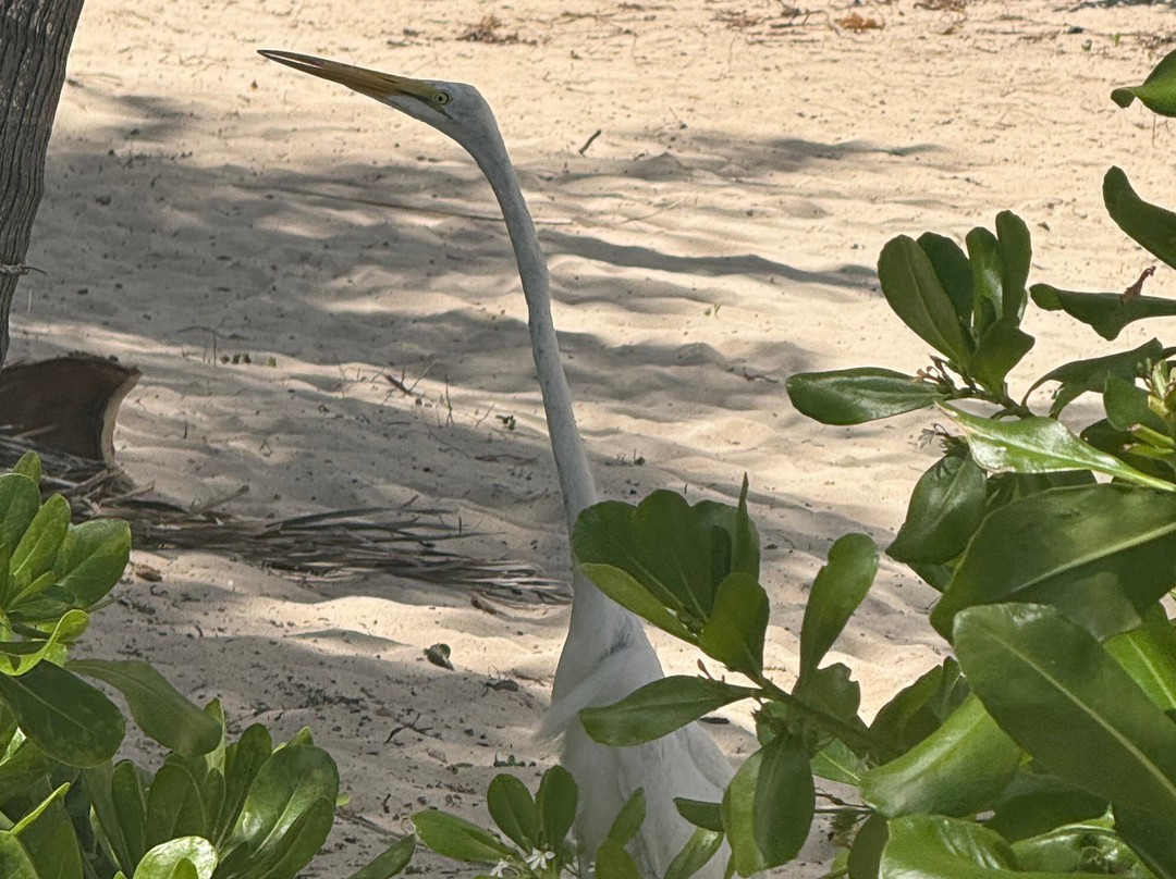 Turtle Nest Inn主图