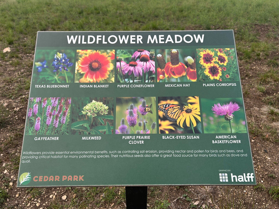 Lakeline Park-斯德伯克必去景点