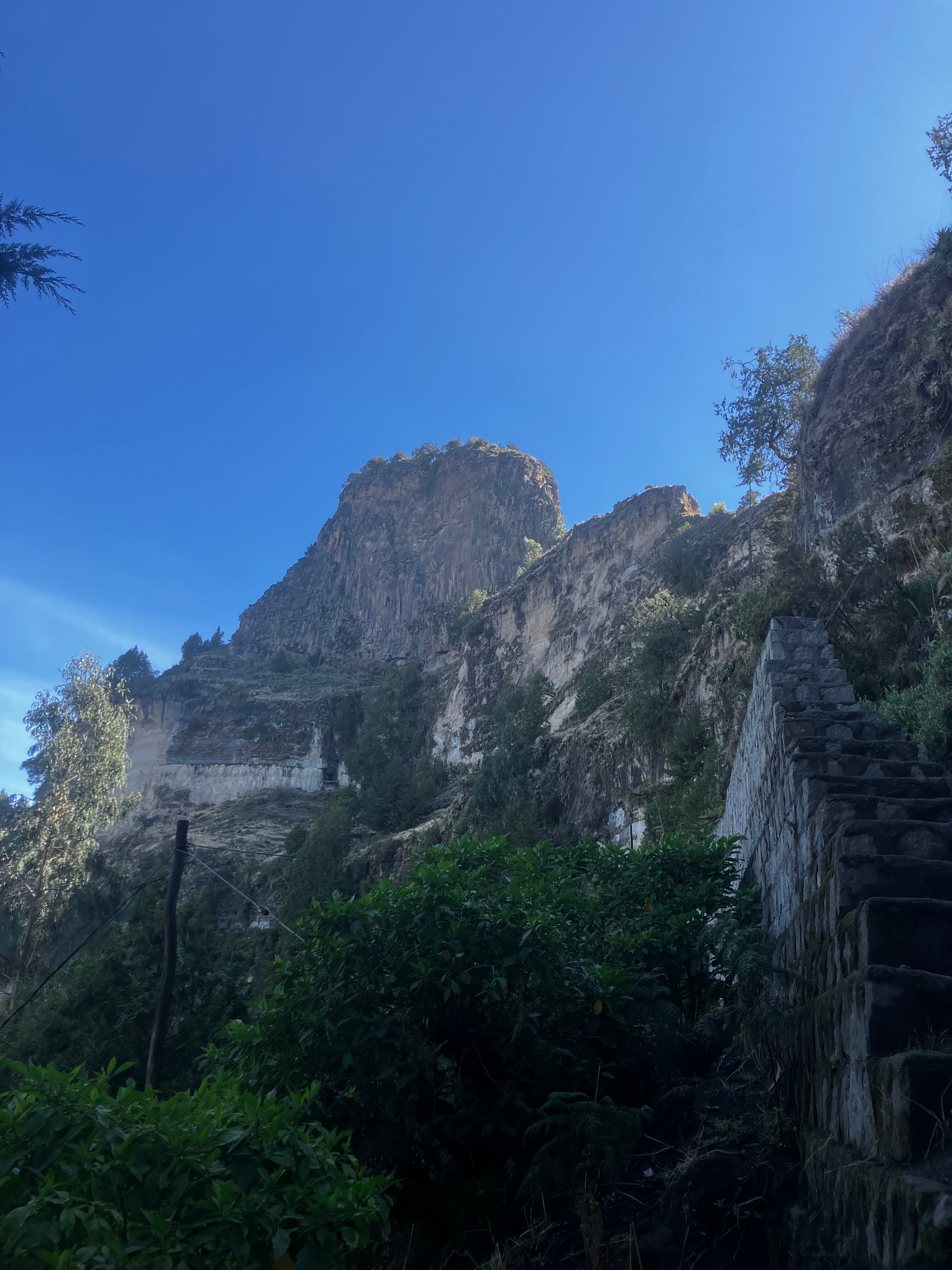 哈布酒店-旅行者