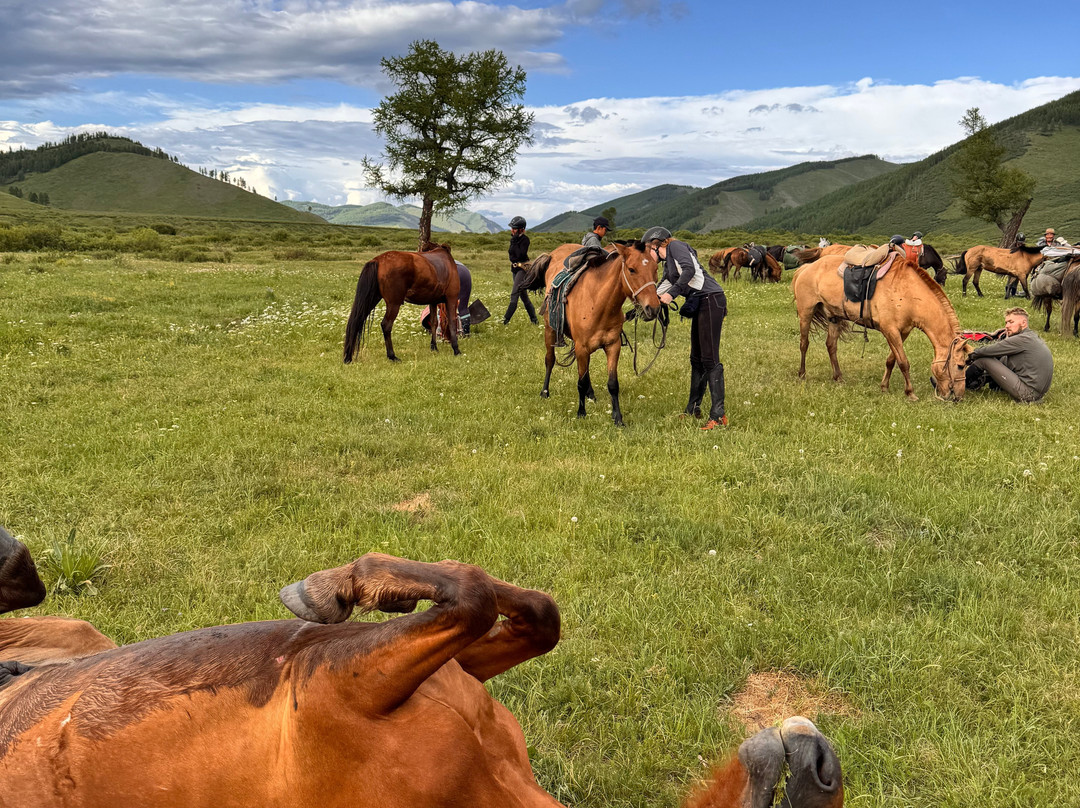 Fat Horse Mongolia-Darhan必去景点