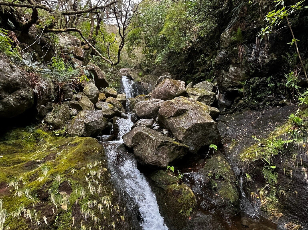 Madeira Wonder Hikes-沙尔必去景点