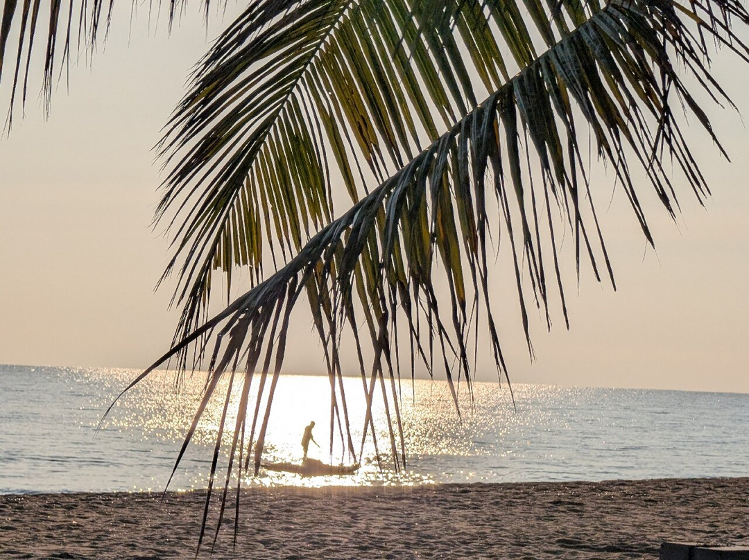 Kokkilai Sanctuary-Mullaitivu District必去景点