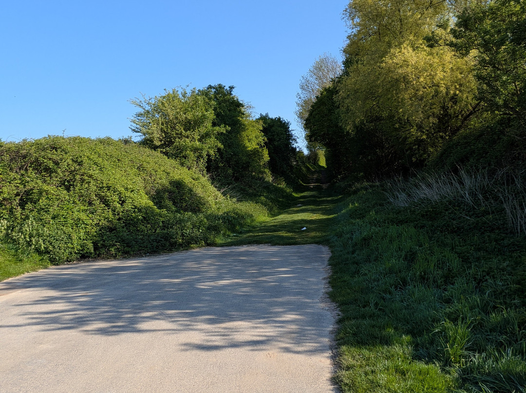 14-18 Somme Battlefield Tours-Albert必去景点