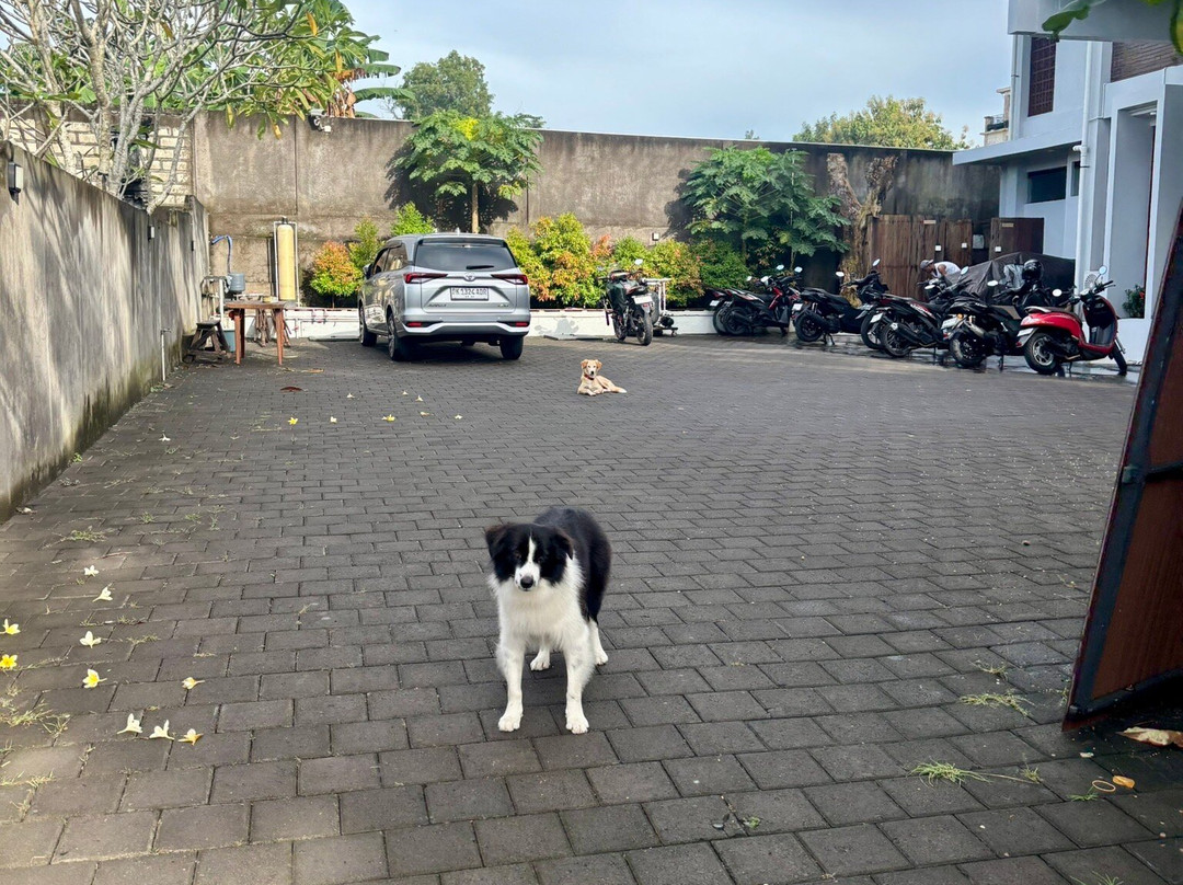 Nala's Home
