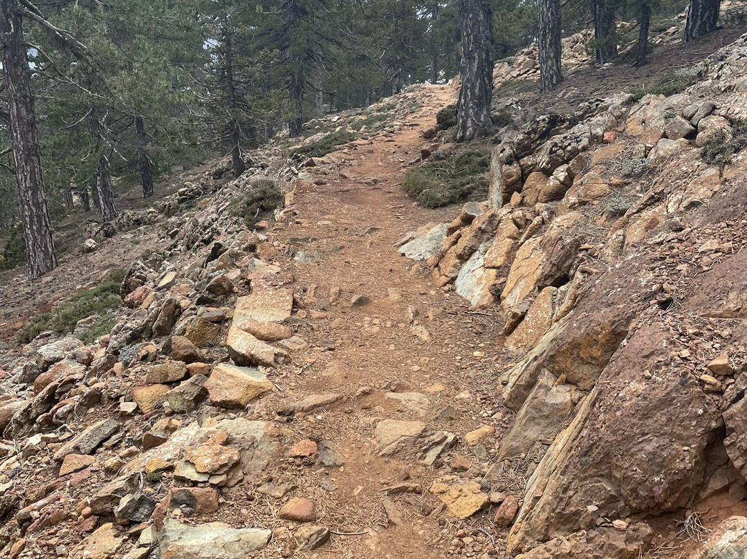 Artemis Nature Trail-特罗多斯必去景点